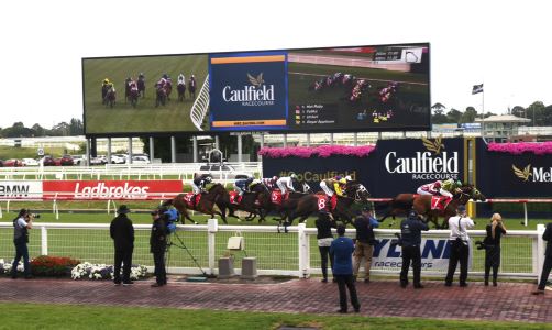 Caulfield Racecourse Super Screen